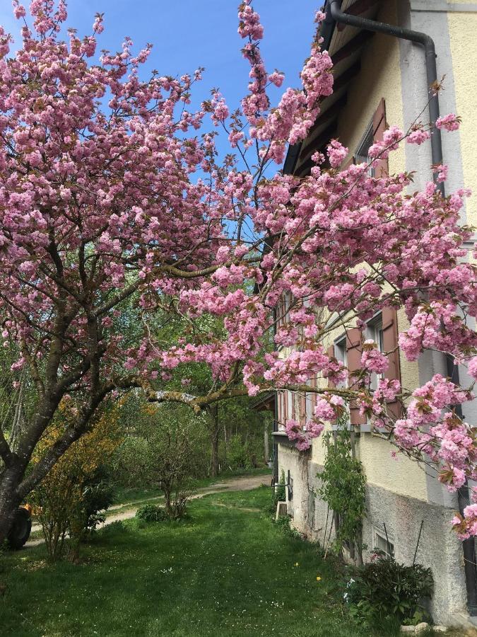 Ferienhof Weber Nieratz Wangen im Allgaeu Exterior photo