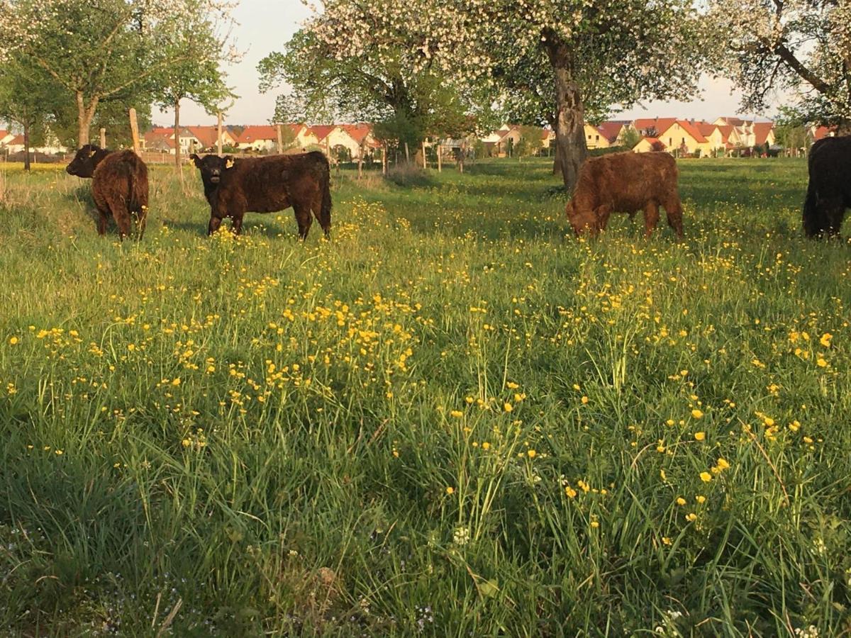 Ferienhof Weber Nieratz Wangen im Allgaeu Exterior photo